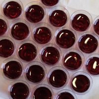 Allianz-Gottesdienst 2017 (7)