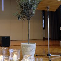 Allianz-Gottesdienst 2017 (9)